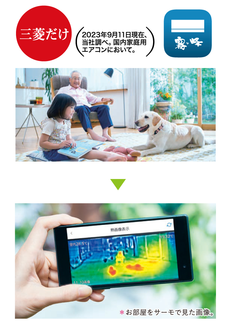 サーモでみまもり