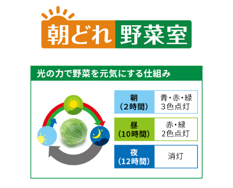 朝どれ野菜室