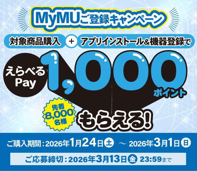 えらべるPay1000ptプレゼント